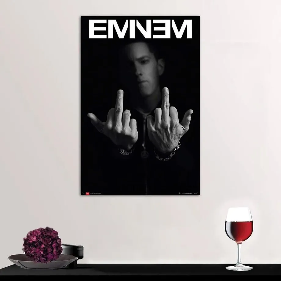 Plakát na plátně s motivem oblíbeného rappera EMINEM - různé velikosti