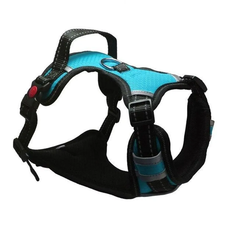 Postroj pro velké psy blue s-chest-40-70cm