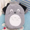 hoodie-totoro