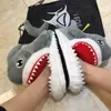 gray-shark