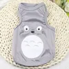 vest-totoro