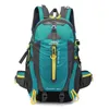 teal-40l