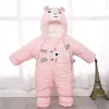 bear pink