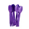 10pcs spoon