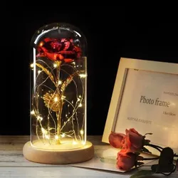 Okouzlující skleněná kopule LED String Rose